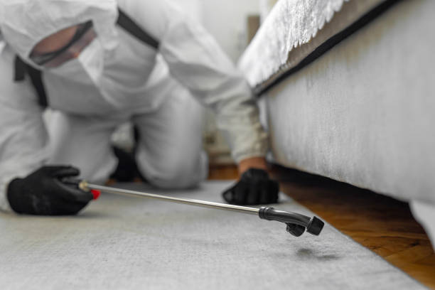Professional Cockroach Control technician working in Hialeah Gardens, FL