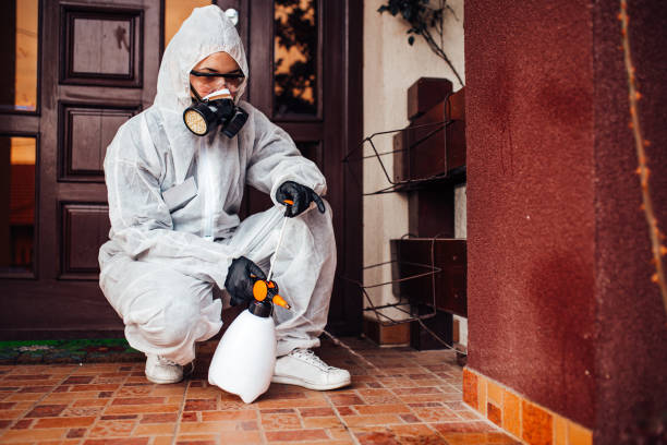 Reliable Cockroach Control contractor in Hialeah Gardens, FL by Nex Pest Control