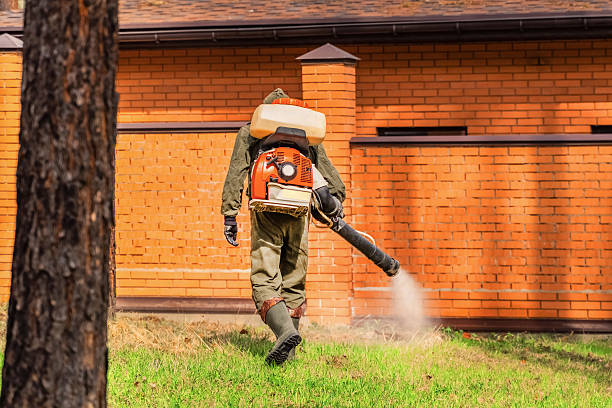 Trusted Fumigation Services service in Hialeah Gardens, FL - Nex Pest Control